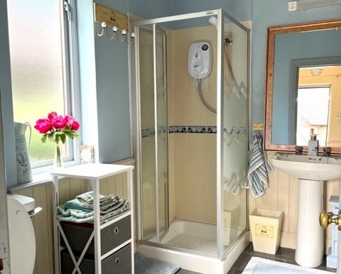 downstains shower room